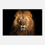 Da Vinci Animal Kingdom Wall art print | Wildlife | Lion | - Aluminum Print - 50x75 cm / 20x30″ - 