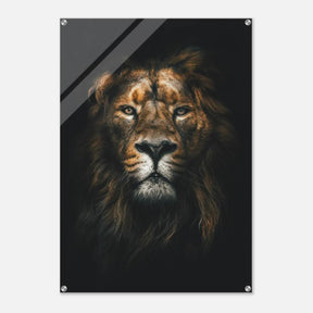 Da Vinci Animal Kingdom Wall art print | Wildlife | Lion - Acrylic Print - 70x100 cm / 28x40″ - 