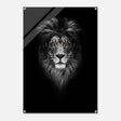 Da Vinci Animal Kingdom Wall art print | Wildlife | Lion - Acrylic Print - 70x100 cm / 28x40″ - 