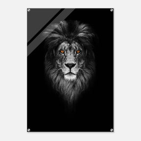 Da Vinci Animal Kingdom Wall art print | Wildlife | Lion - Acrylic Print - 70x100 cm / 28x40″ - 