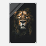 Da Vinci Animal Kingdom Wall art print | Wildlife | Lion - Acrylic Print - 50x75 cm / 20x30″ - 