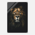 Da Vinci Animal Kingdom Wall art print | Wildlife | Lion - Acrylic Print - 60x90 cm / 24x36″ - 