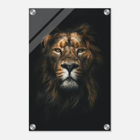 Da Vinci Animal Kingdom Wall art print | Wildlife | Lion - Acrylic Print - 30x45 cm / 12x18″ - 