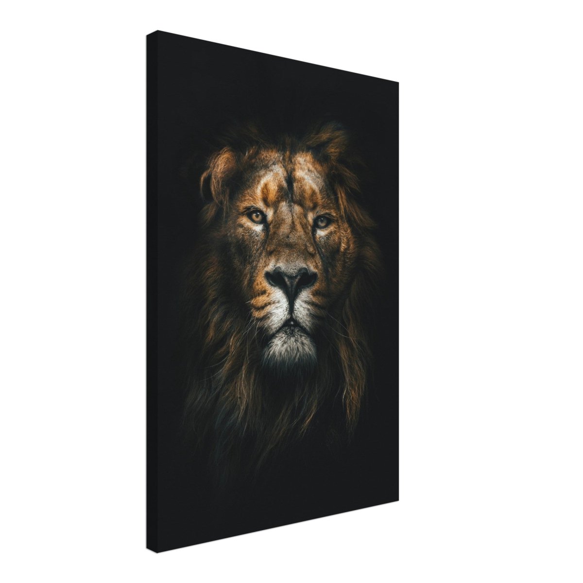 Da Vinci Animal Kingdom Wall art print | Wildlife | Lion - Canvas - 50x75 cm / 20x30″ - Thick