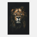 Da Vinci Animal Kingdom Wall art print | Wildlife | Lion - Aluminum Print - 40x60 cm / 16x24″ - 