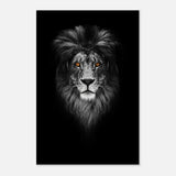 Da Vinci Animal Kingdom Wall art print | Wildlife | Lion - Aluminum Print - 40x60 cm / 16x24″ - 