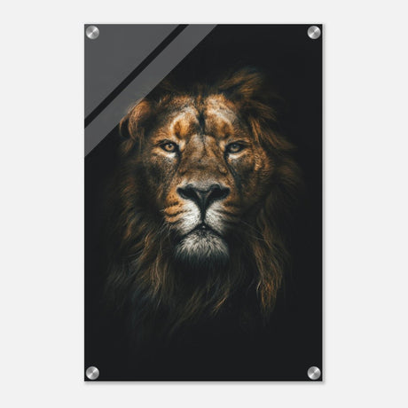 Da Vinci Animal Kingdom Wall art print | Wildlife | Lion - Acrylic Print - 40x60 cm / 16x24″ - 