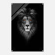 Da Vinci Animal Kingdom Wall art print | Wildlife | Lion - Acrylic Print - 60x90 cm / 24x36″ - 