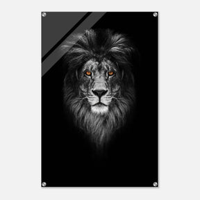Da Vinci Animal Kingdom Wall art print | Wildlife | Lion - Acrylic Print - 60x90 cm / 24x36″ - 