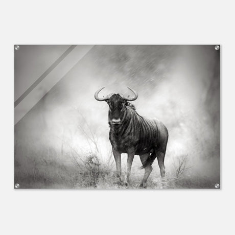 Da Vinci Animal Kingdom Wall art print | Wildlife | Wildebeest - Acrylic Print - 70x100 cm / 28x40″ - 