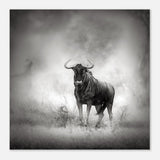 Da Vinci Animal Kingdom Wall art print | Wildlife | Wildebeest - Aluminum Print - 40x40 cm / 16x16″ - 