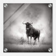Da Vinci Animal Kingdom Wall art print | Wildlife | Wildebeest - Acrylic Print - 30x30 cm / 12x12″ - 