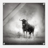 Da Vinci Animal Kingdom Wall art print | Wildlife | Wildebeest - Acrylic Print - 50x50 cm / 20x20″ - 