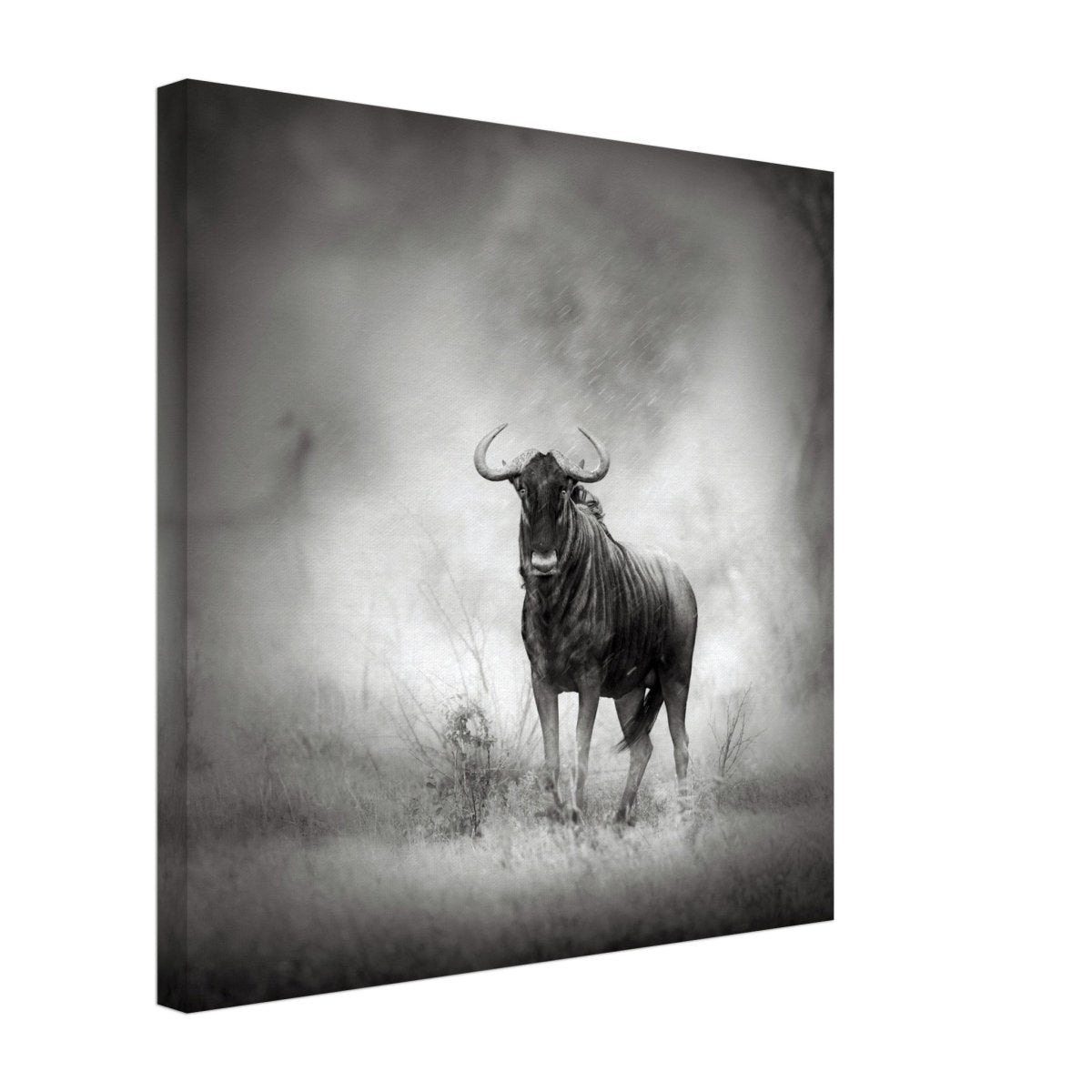 Da Vinci Animal Kingdom Wall art print | Wildlife | Wildebeest - Canvas - 50x50 cm / 20x20″ - Thick