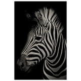Da Vinci Animal Kingdom Wall art print | Zebra - Wood Prints - 50x75 cm / 20x30″ - 