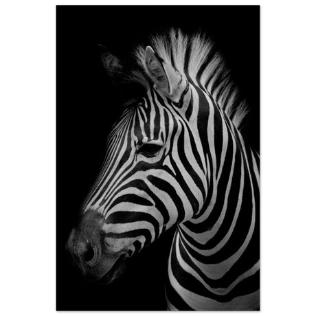 Da Vinci Animal Kingdom Wall art print | Zebra - Aluminum Print - 30x45 cm / 12x18″ - 