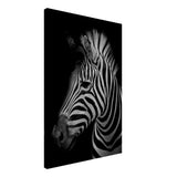 Da Vinci Animal Kingdom Wall art print | Zebra - Canvas - 50x75 cm / 20x30″ - 
