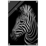 Da Vinci Animal Kingdom Wall art print | Zebra - Acrylic Print - 40x60 cm / 16x24″ - 