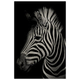 Da Vinci Animal Kingdom Wall art print | Zebra - Wood Prints - 40x60 cm / 16x24″ - 