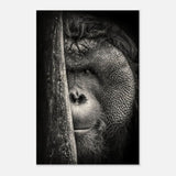 Da Vinci Animal Kingdom Wall art | Wildlife | Apes - Wood Prints - 60x90 cm / 24x36″ - 20 mm