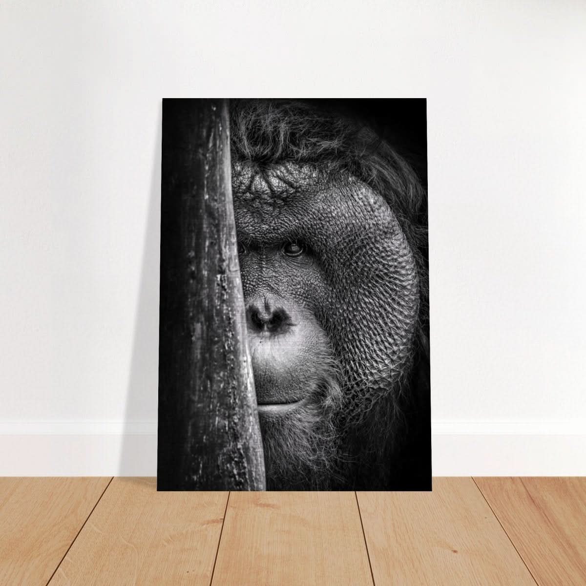 Da Vinci Animal Kingdom Wall art | Wildlife | Apes - Brushed Aluminum Print - 70x100 cm / 28x40″ - 