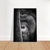Da Vinci Animal Kingdom Wall art | Wildlife | Apes - Brushed Aluminum Print - 70x100 cm / 28x40″ - 