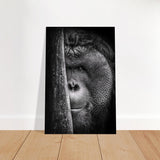 Da Vinci Animal Kingdom Wall art | Wildlife | Apes - Brushed Aluminum Print - 60x90 cm / 24x36″ - 