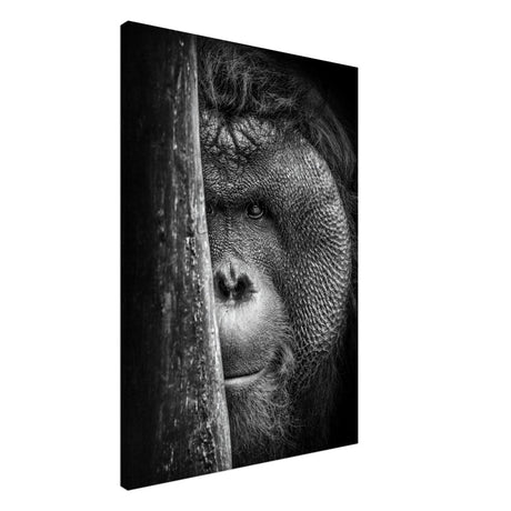 Da Vinci Animal Kingdom Wall art | Wildlife | Apes - Canvas - 70x100 cm / 28x40″ - Thick