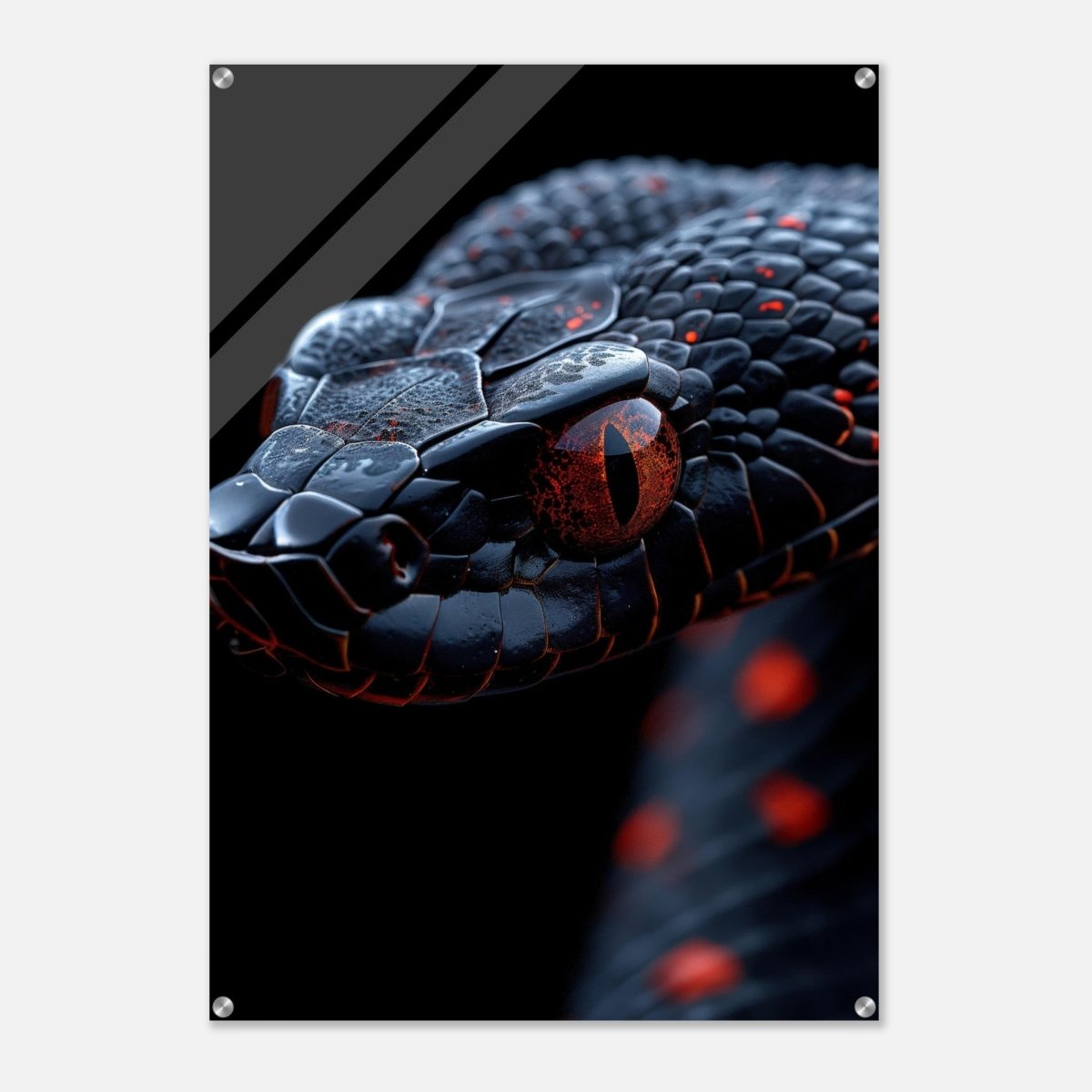 Da Vinci Animal Kingdom Wall art | Wildlife | Black Mamba | snake - Acrylic Print - 70x100 cm / 28x40″ - 