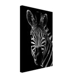 Da Vinci Animal Wall art | Zebra| Animal black and white Prints - Canvas - 30x45 cm / 12x18″ - Slim