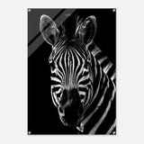 Da Vinci Animal Wall art | Zebra| Animal black and white Prints - Acrylic Print - 70x100 cm / 28x40″ - 