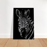 Da Vinci Animal Wall art | Zebra| Animal black and white Prints - Brushed Aluminum Print - 30x45 cm / 12x18″ - 