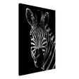 Da Vinci Animal Wall art | Zebra| Animal black and white Prints - Canvas - 70x100 cm / 28x40″ - Thick