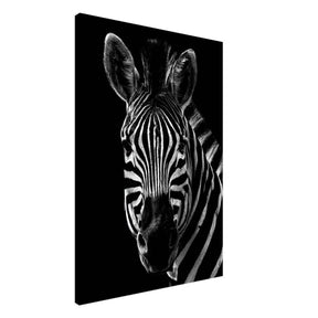 Da Vinci Animal Wall art | Zebra| Animal black and white Prints - Canvas - 70x100 cm / 28x40″ - Thick