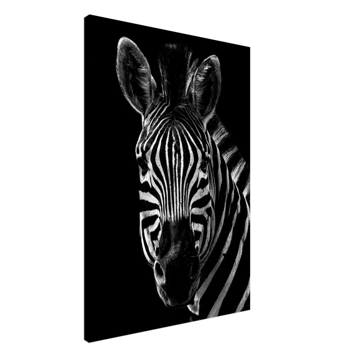 Da Vinci Animal Wall art | Zebra| Animal black and white Prints - Canvas - 70x100 cm / 28x40″ - Thick