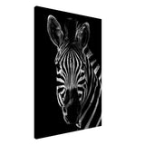 Da Vinci Animal Wall art | Zebra| Animal black and white Prints - Canvas - 70x100 cm / 28x40″ - Thick