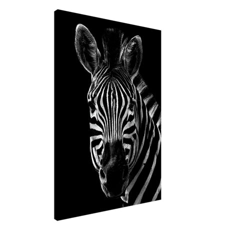 Da Vinci Animal Wall art | Zebra| Animal black and white Prints - Canvas - 70x100 cm / 28x40″ - Thick