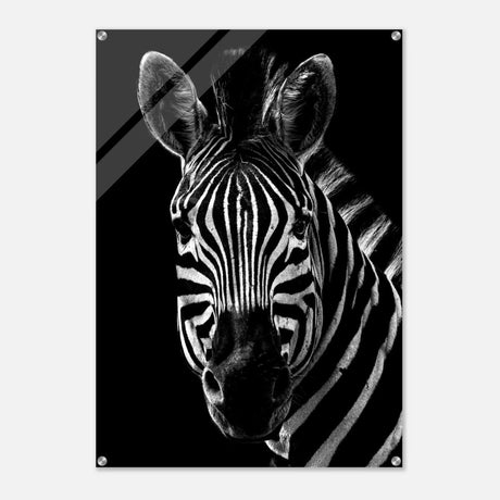 Da Vinci Animal Wall art | Zebra| Animal black and white Prints - Acrylic Print - 70x100 cm / 28x40″ - 