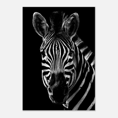 Da Vinci Animal Wall art | Zebra| Animal black and white Prints - Aluminum Print - 70x100 cm / 28x40″ - 