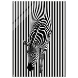 Da Vinci Minimalist Wall art | Wildlife | Zebra - Acrylic Print - 70x100 cm / 28x40″ - 