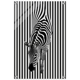 Da Vinci Minimalist Wall art | Wildlife | Zebra - Acrylic Print - 40x60 cm / 16x24″ - 
