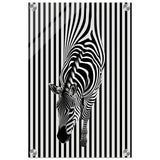 Da Vinci Minimalist Wall art | Wildlife | Zebra - Acrylic Print - 30x45 cm / 12x18″ - 