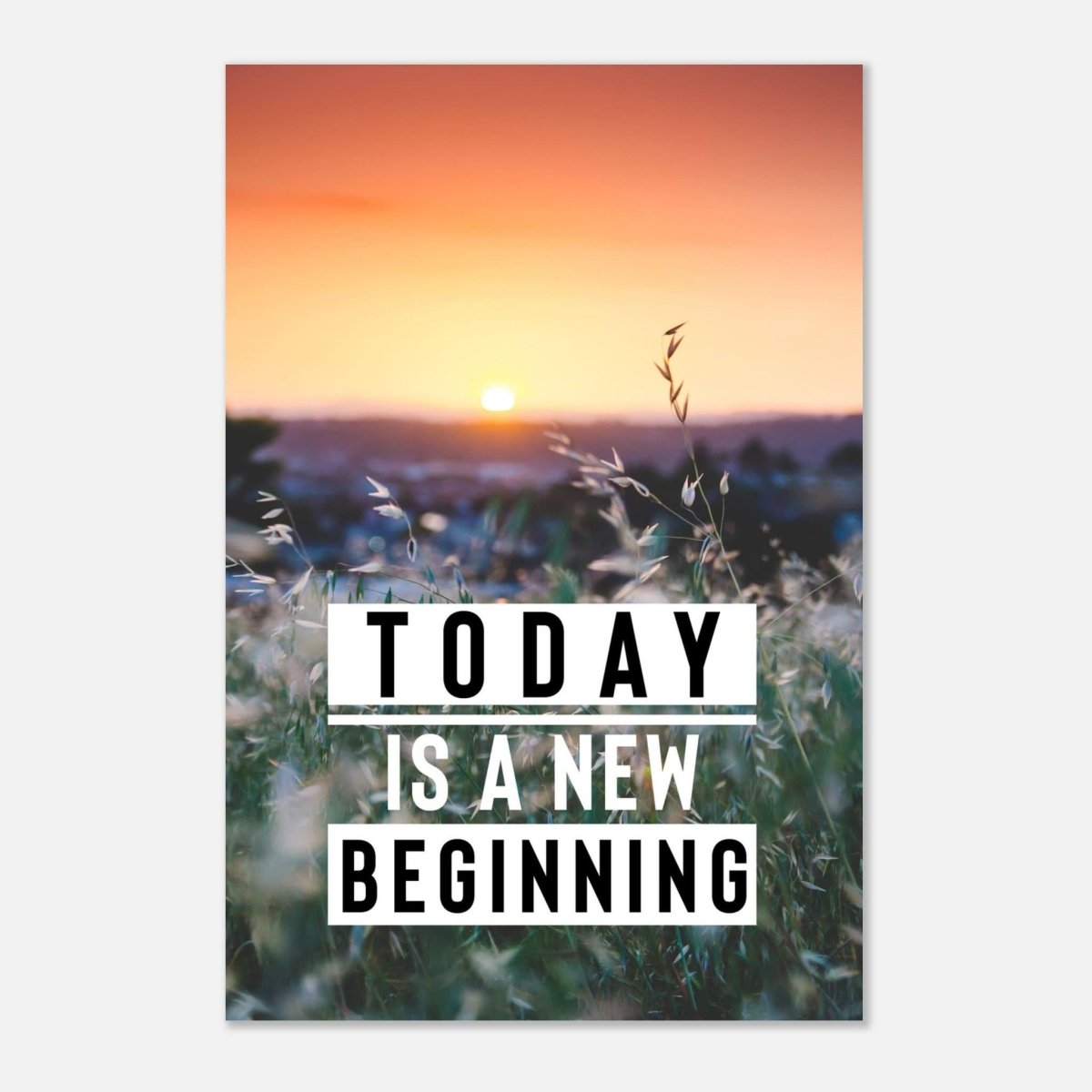 Da Vinci Motivational Wall Art | New Beginning - Aluminum Print - 60x90 cm / 24x36″ - 