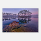 Da Vinci Nature Art Wall art print - Aluminum Print - 30x45 cm / 12x18″ - 