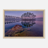 Da Vinci Nature Art Wall art print - Acrylic Print - 30x45 cm / 12x18″ - 