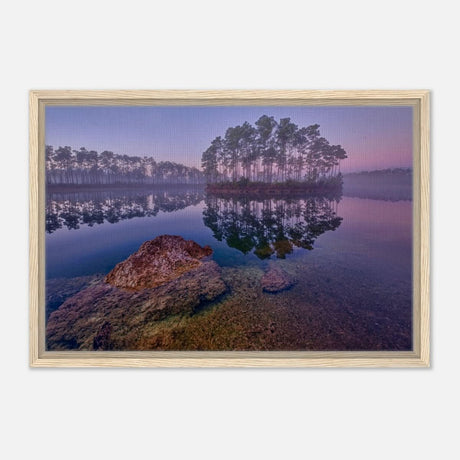 Da Vinci Nature Art Wall art print - Acrylic Print - 30x45 cm / 12x18″ - 