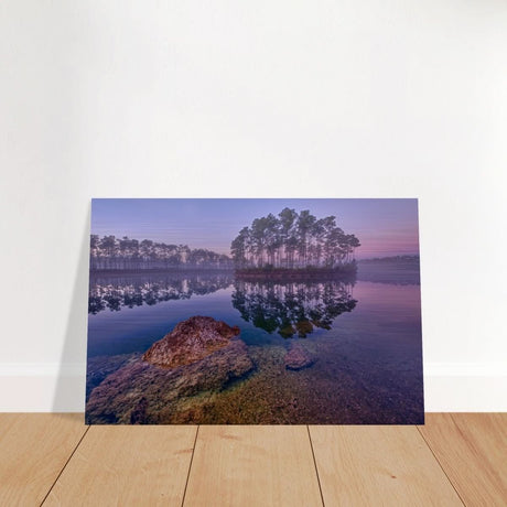 Da Vinci Nature Art Wall art print - Brushed Aluminum Print - 30x45 cm / 12x18″ - 
