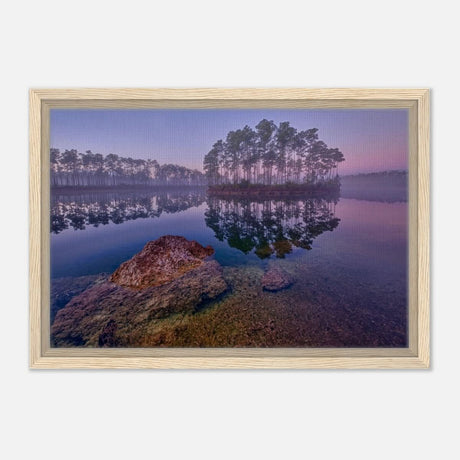 Da Vinci Nature Art Wall art print - Acrylic Print - 30x45 cm / 12x18″ - 