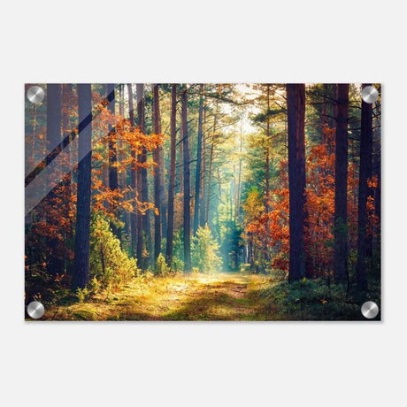 Da Vinci Nature Art Wall art print - Acrylic Print - 30x45 cm / 12x18″ - 