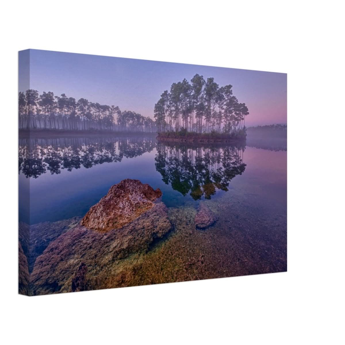 Da Vinci Nature Art Wall art print - Canvas - 30x45 cm / 12x18″ - 